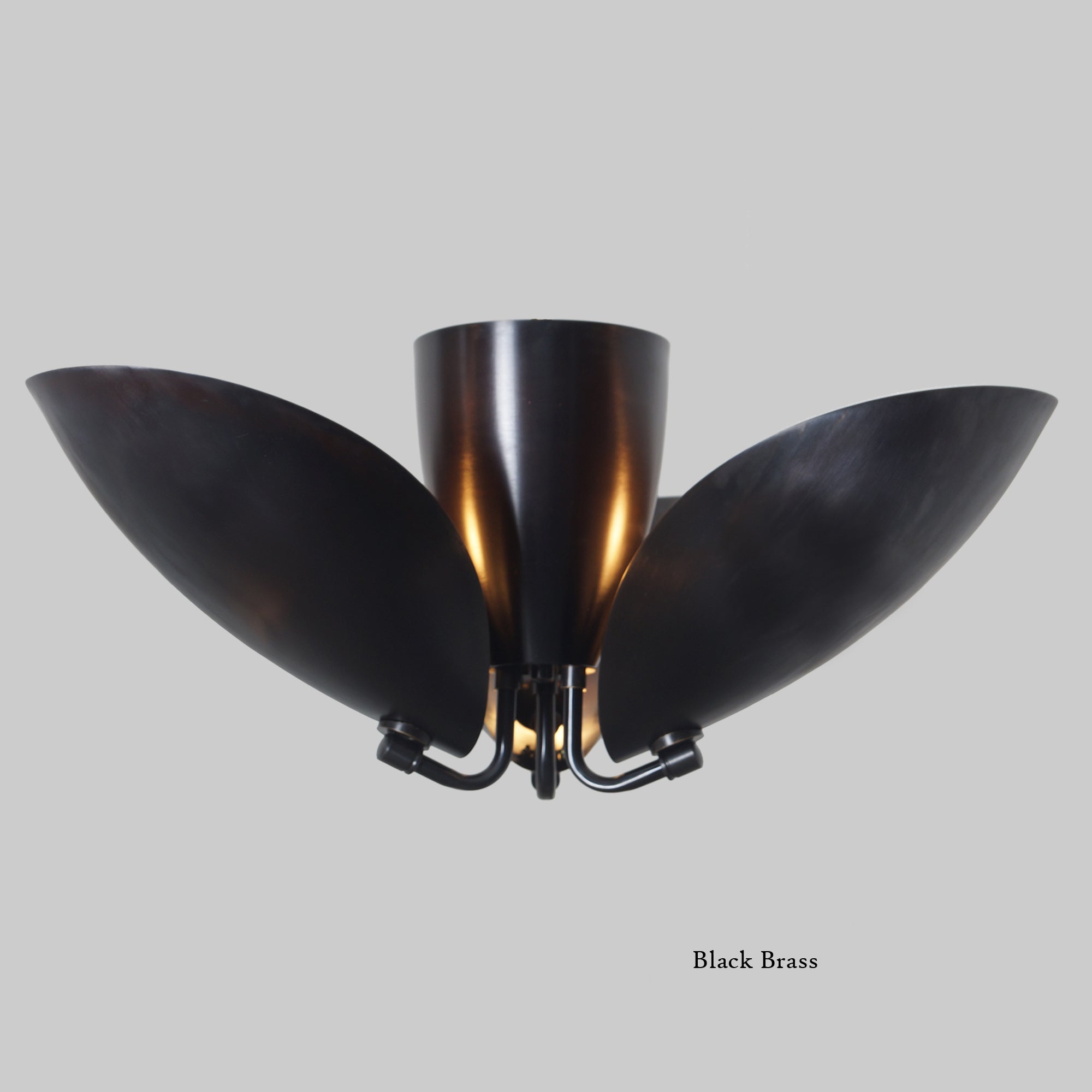 Three Light Shade Turtle Flush Mount Brass Ceiling Fixture - Doozie Light Studio