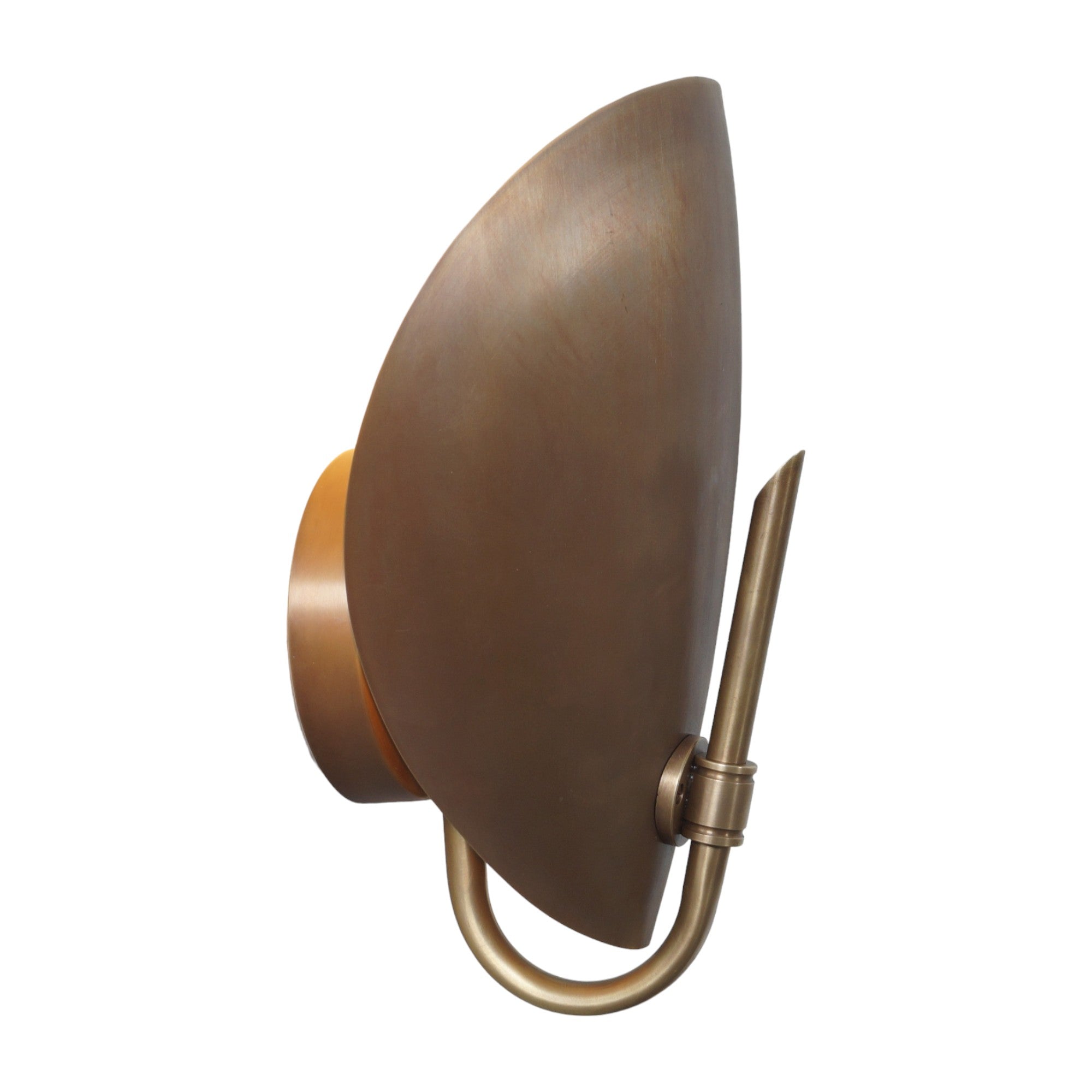 Small Turtle Wall Lamp - Doozie Light Studio