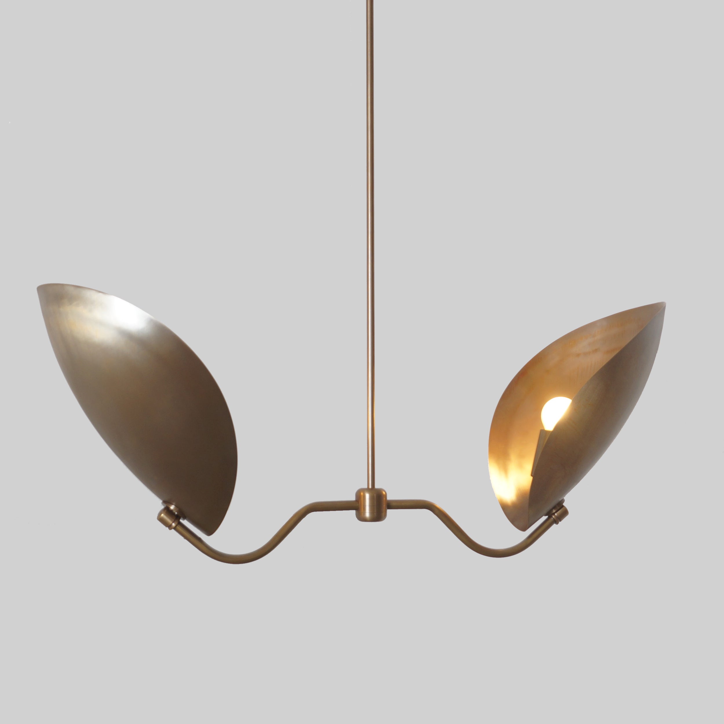 Two Curved Disk Shade Brass Turtle Pendant Light - Doozie Light Studio