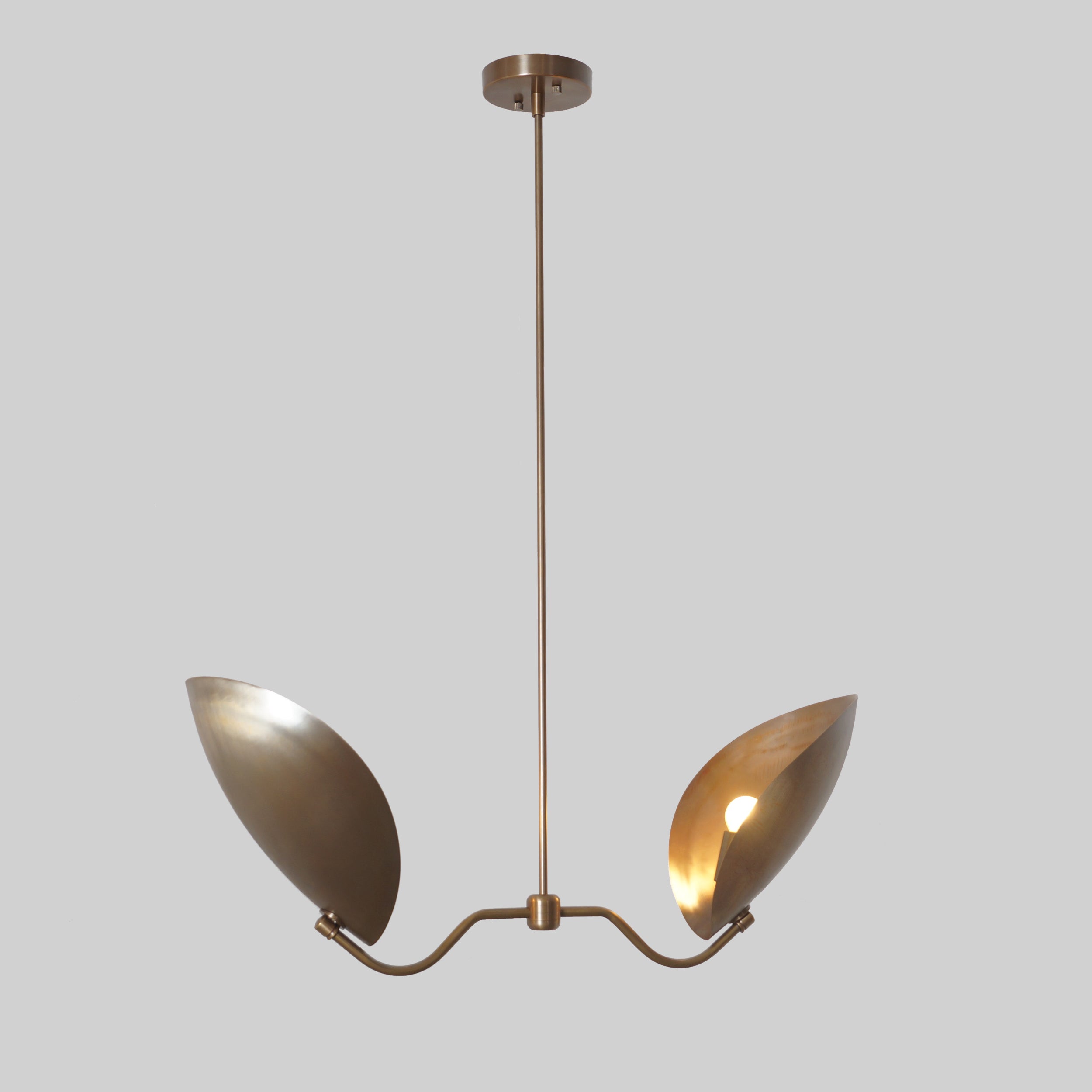 Two Curved Disk Shade Brass Turtle Pendant Light - Doozie Light Studio